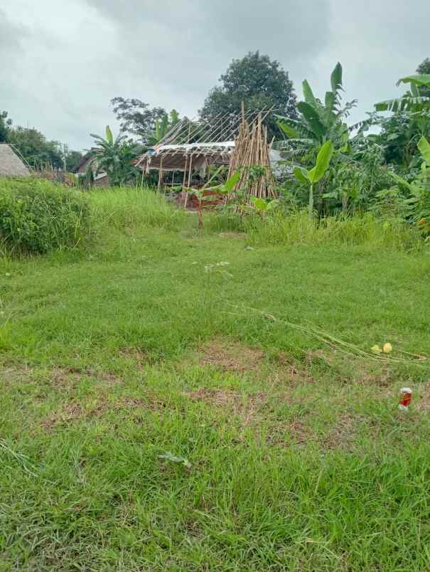 dijual tanah di kedungsukun ke adiwerna kab tegal