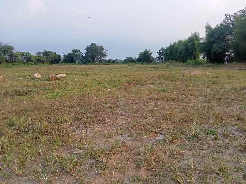 dijual tanah di tigaraksa kabupaten tangerang