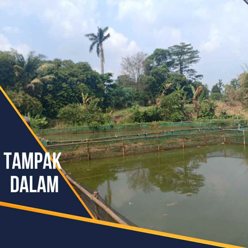 dijual tanah empang duren seribu