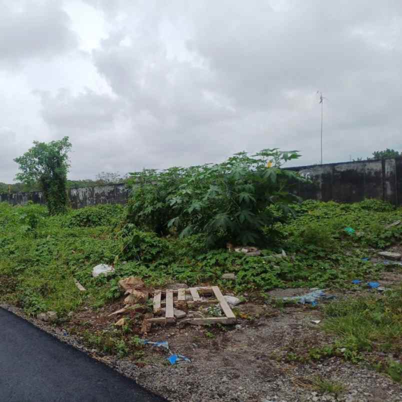 dijual tanah gatsu timur