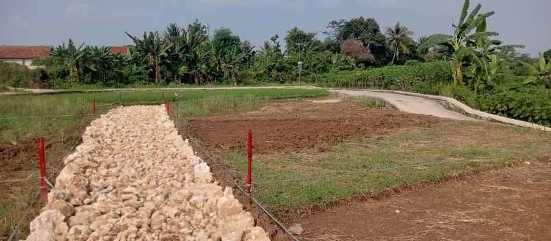 dijual tanah girimulya cibungbulang