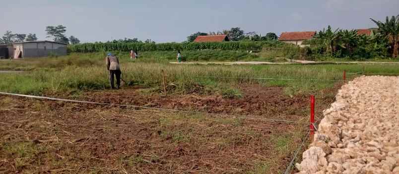 dijual tanah girimulya cibungbulang