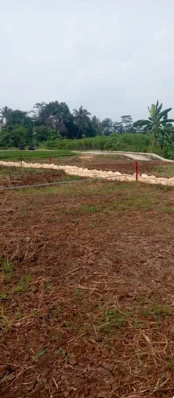 dijual tanah girimulya cibungbulang