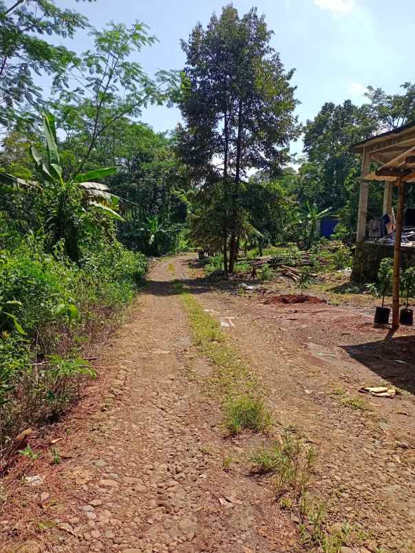 dijual tanah gunung pati