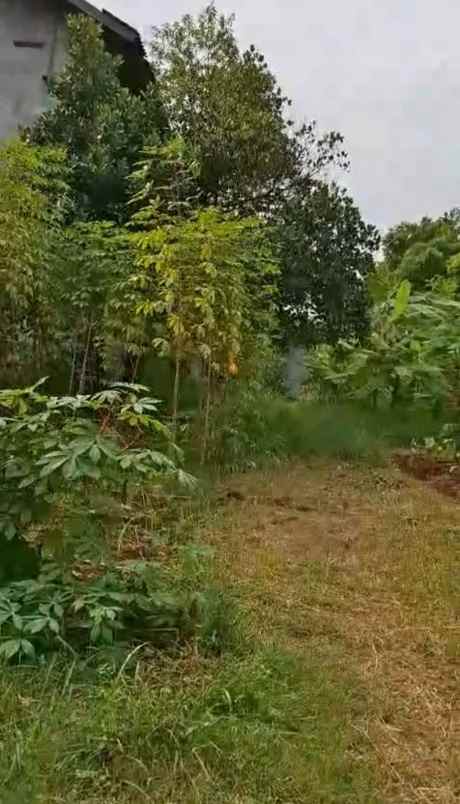dijual tanah jababeka