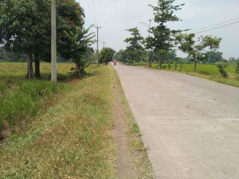 dijual tanah jalan alternatip subang