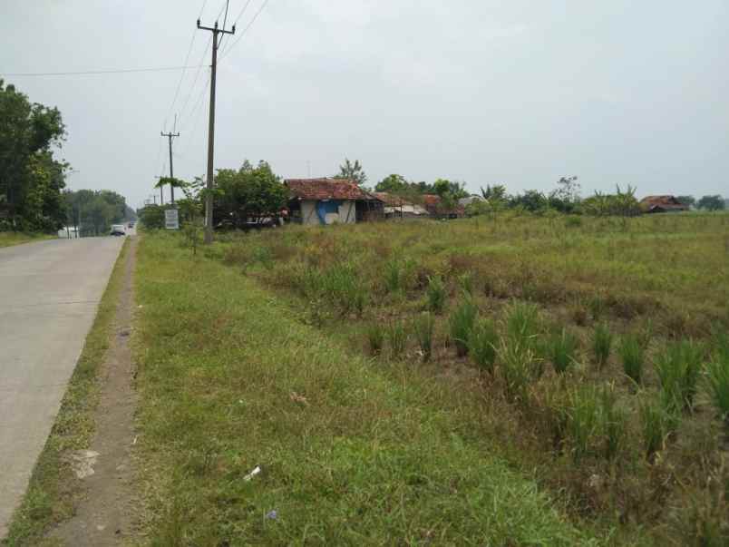 dijual tanah jalan alternatip subang