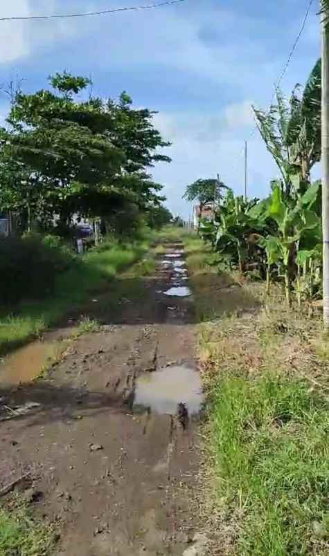 dijual tanah jalan bi pasar