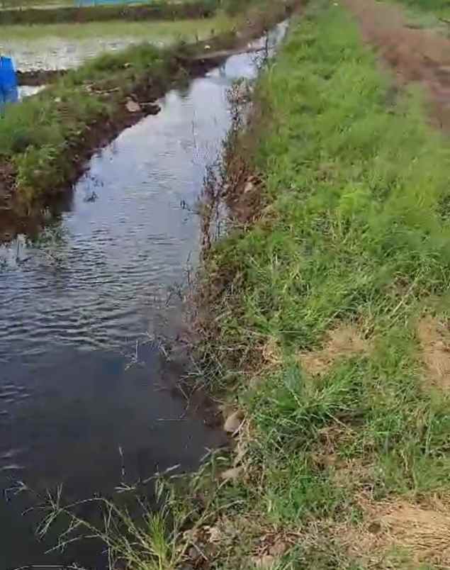 dijual tanah jalan bi pasar