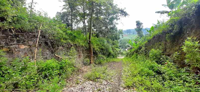 dijual tanah jalan buni wangi