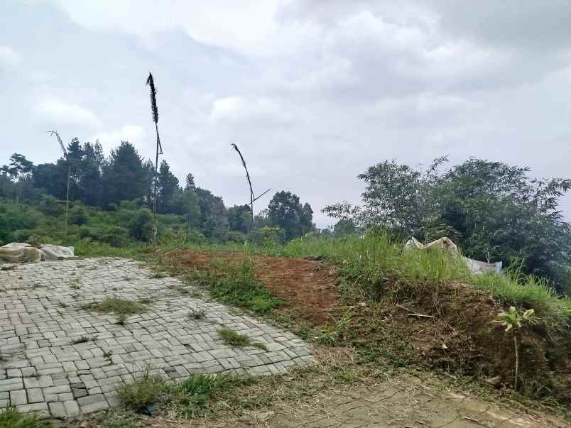 dijual tanah jalan desa tajur halang