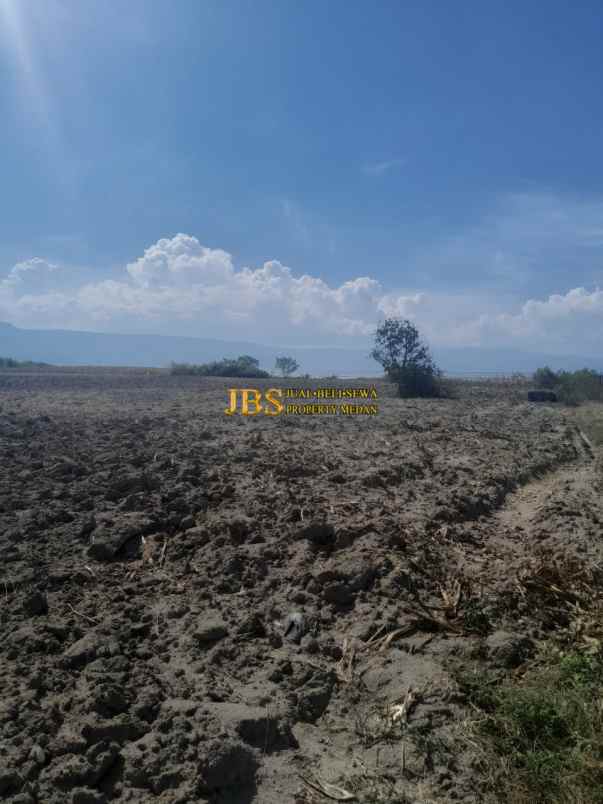 dijual tanah jalan raya simanindo