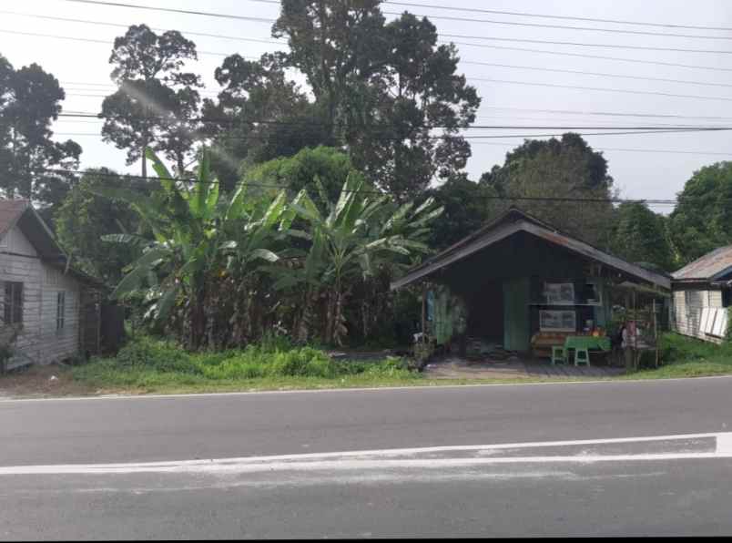 dijual tanah jalan trans kalimantan