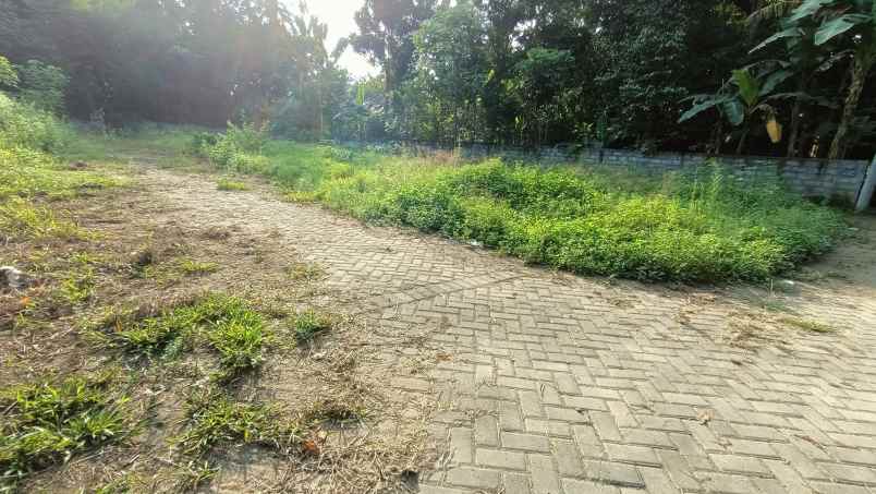 dijual tanah jingin margomulyo