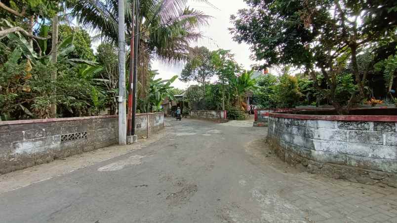 dijual tanah jingin margomulyo