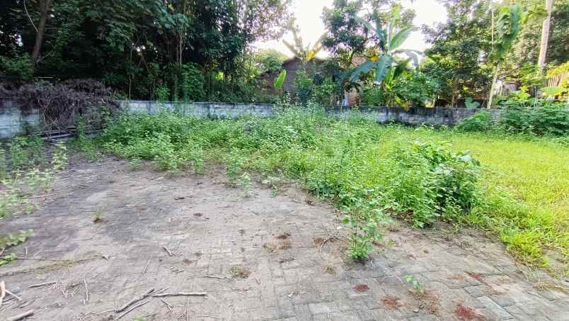 dijual tanah jingin margomulyo