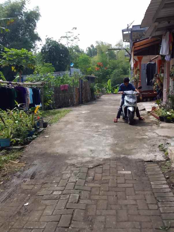 dijual tanah jl al munawar sumber pasir