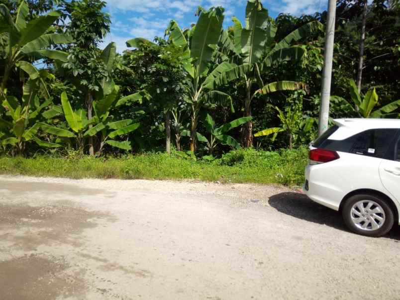 dijual tanah jl nasional iii pamucatan