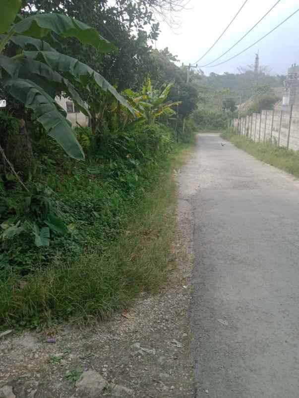 dijual tanah jl nasional iii pamucatan