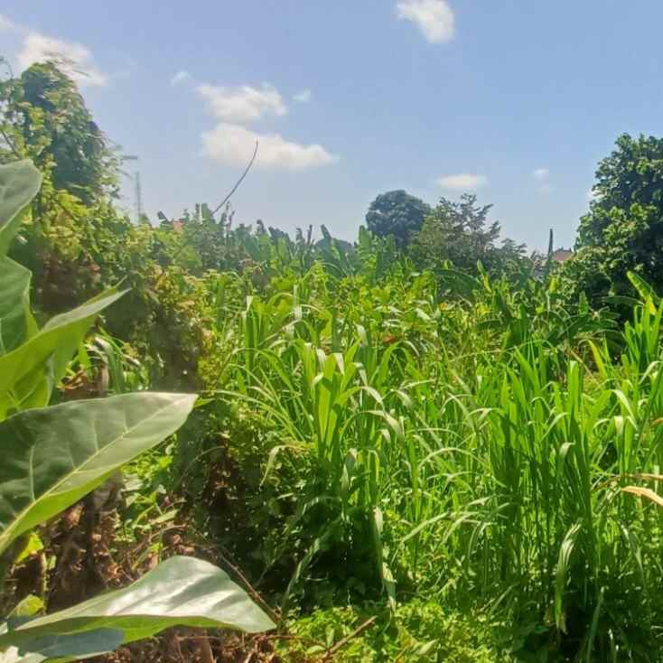 dijual tanah jl raya dalung