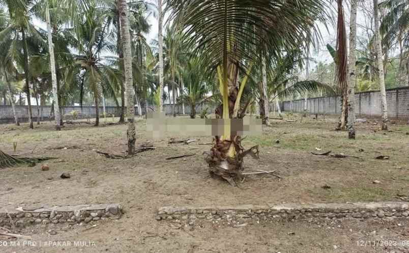 dijual tanah jl raya pamugaran