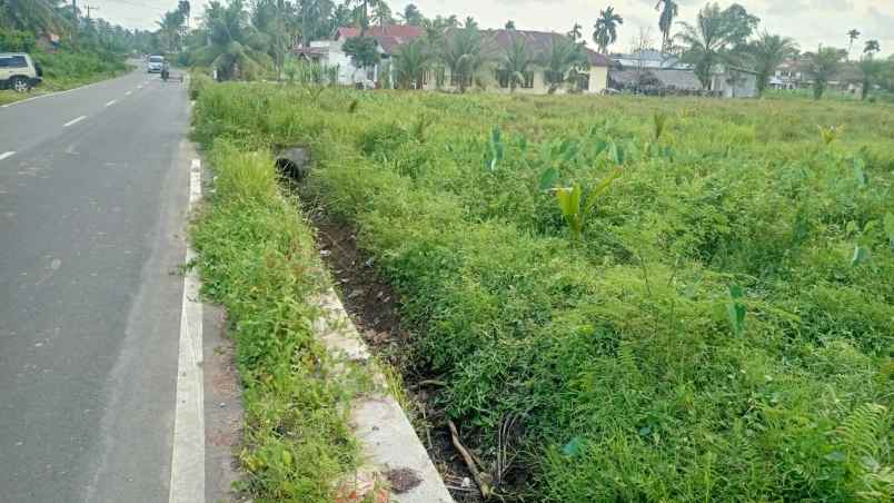 dijual tanah jl tj basung katapiang