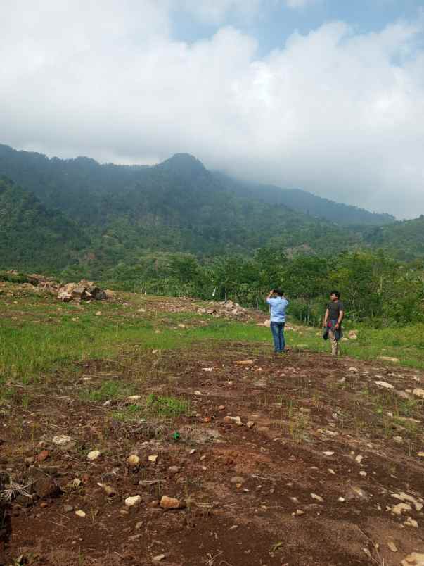 dijual tanah kavling siap bangun villa dekat puncak 2