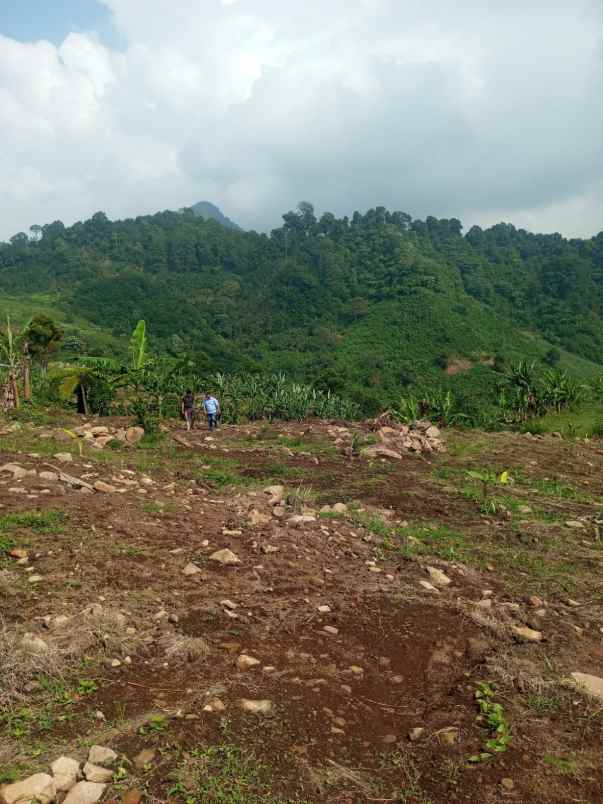 dijual tanah kavling siap bangun villa dekat puncak 2