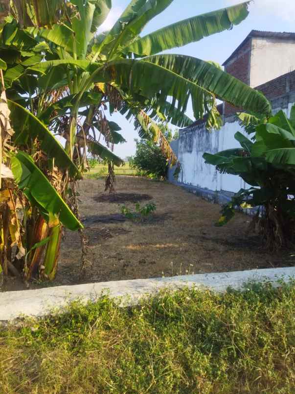 dijual tanah kedung watu