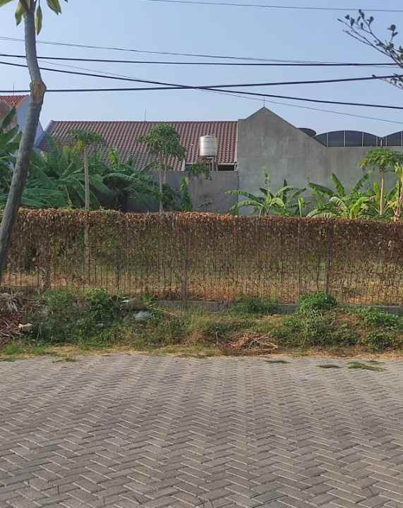 dijual tanah klampis semolo