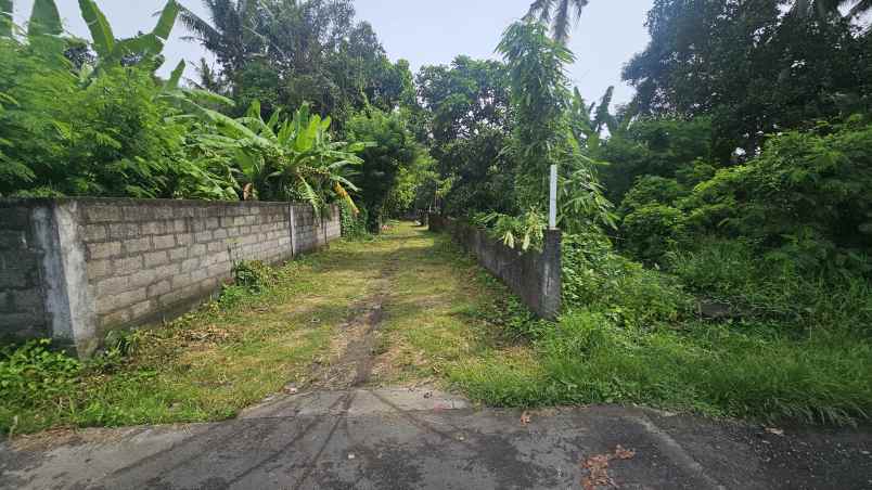 dijual tanah komersil lokasi pacung kedungu