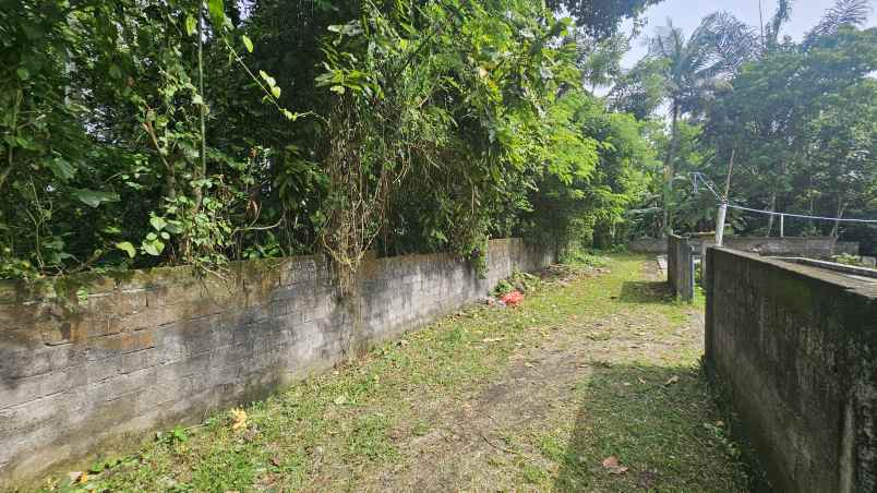 dijual tanah komersil lokasi pacung kedungu