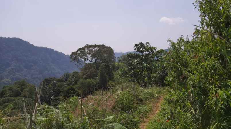 dijual tanah kp cigentung desa