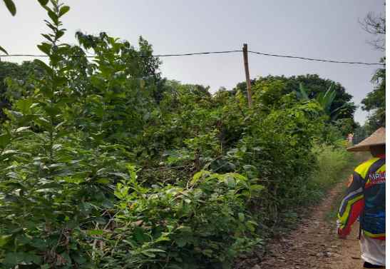 dijual tanah kp jaha malangnengah kec