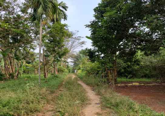 dijual tanah kp jaha malangnengah kec