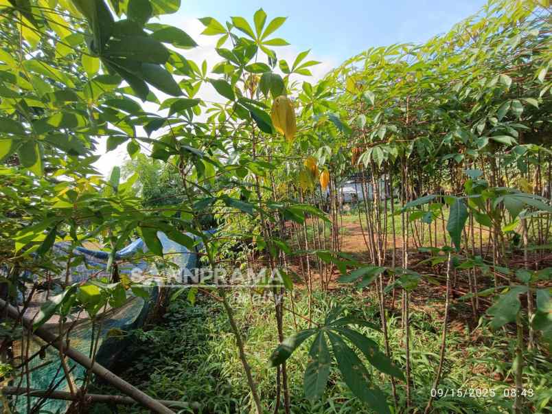 dijual tanah limo grogol depok