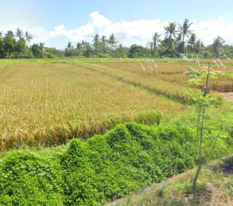 dijual tanah medahan blahbatuh gianyar bali