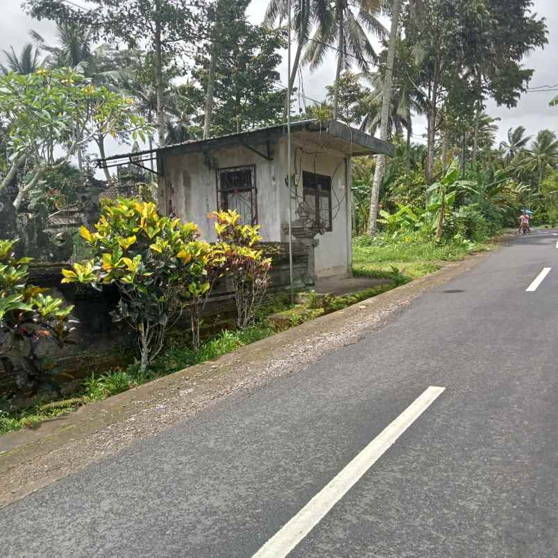 dijual tanah murah jalan utama kabupaten tabanan