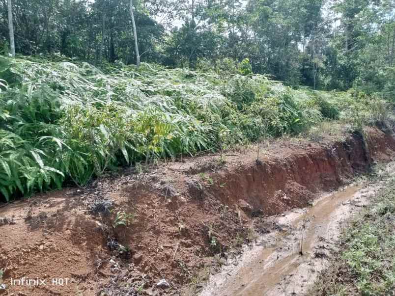 dijual tanah murah siap bangun