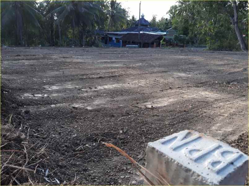 dijual tanah nanggulan kulonprogo