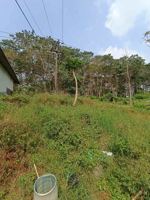 dijual tanah padasuka atas jl tugu