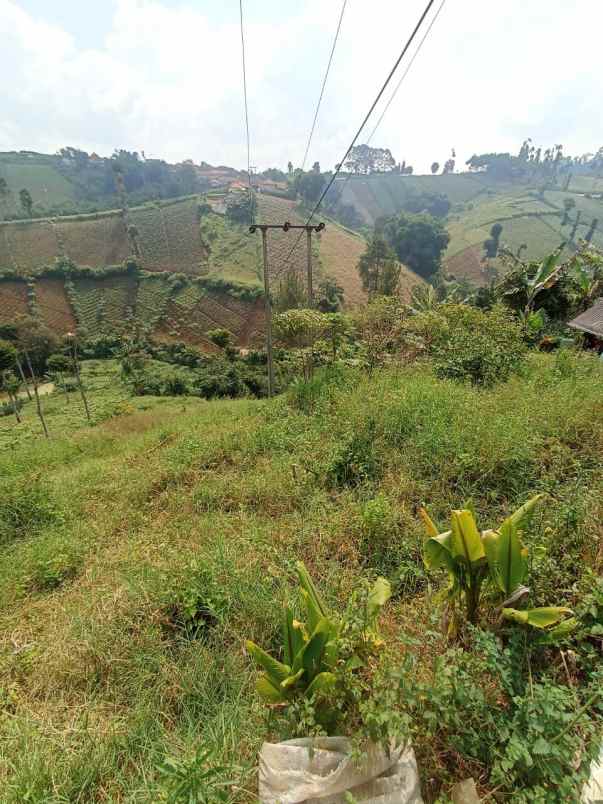 dijual tanah padasuka atas jl tugu