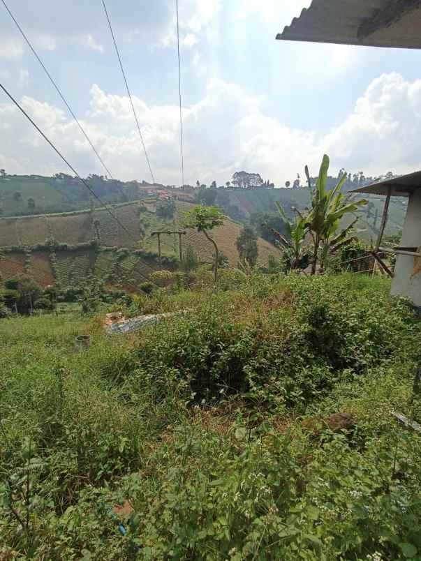 dijual tanah padasuka atas jl tugu