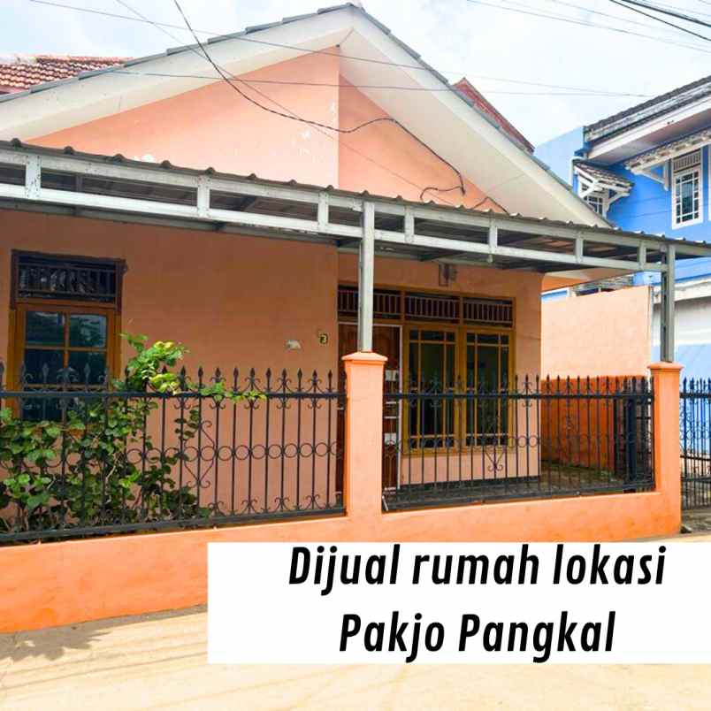 dijual tanah pakjo