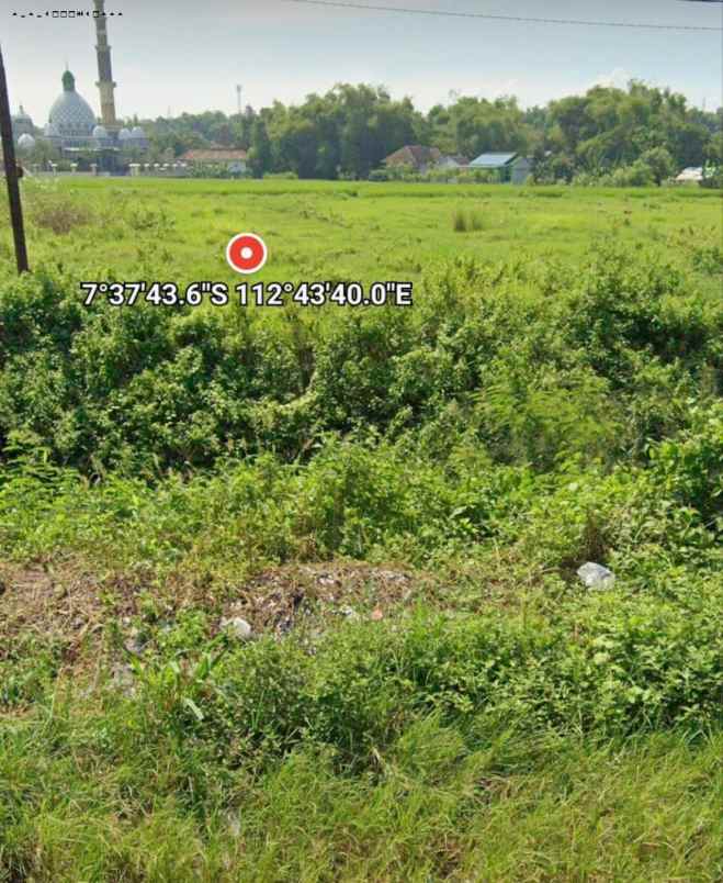 dijual tanah pandaan