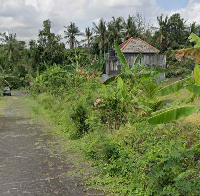 dijual tanah pandak gede tabanan bali