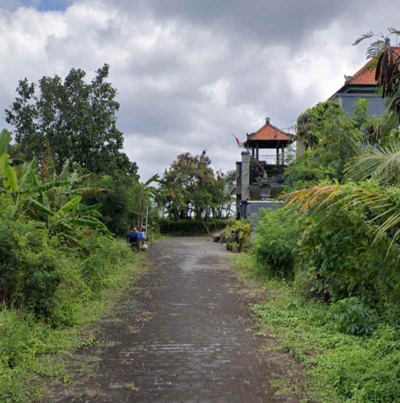 dijual tanah pandak gede tabanan bali