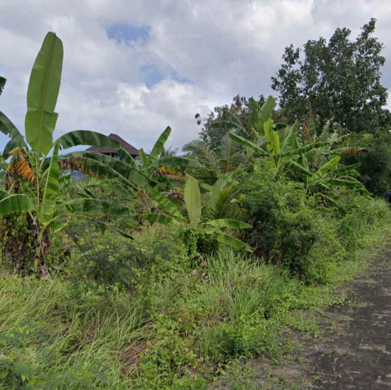 dijual tanah pandak gede tabanan bali