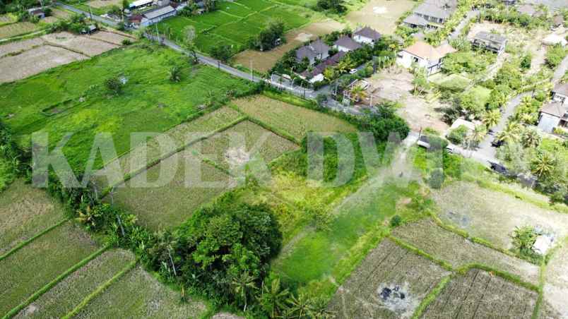 dijual tanah pantai keramas