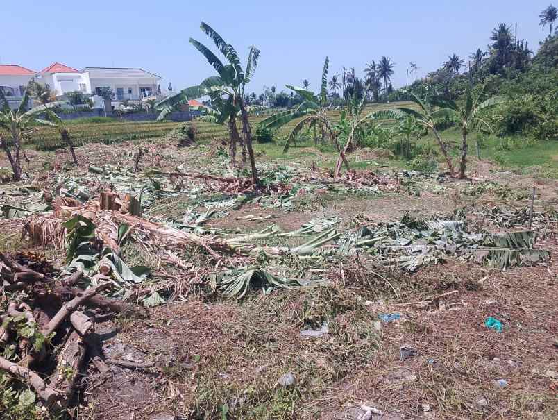dijual tanah pantai nyanyi beraban